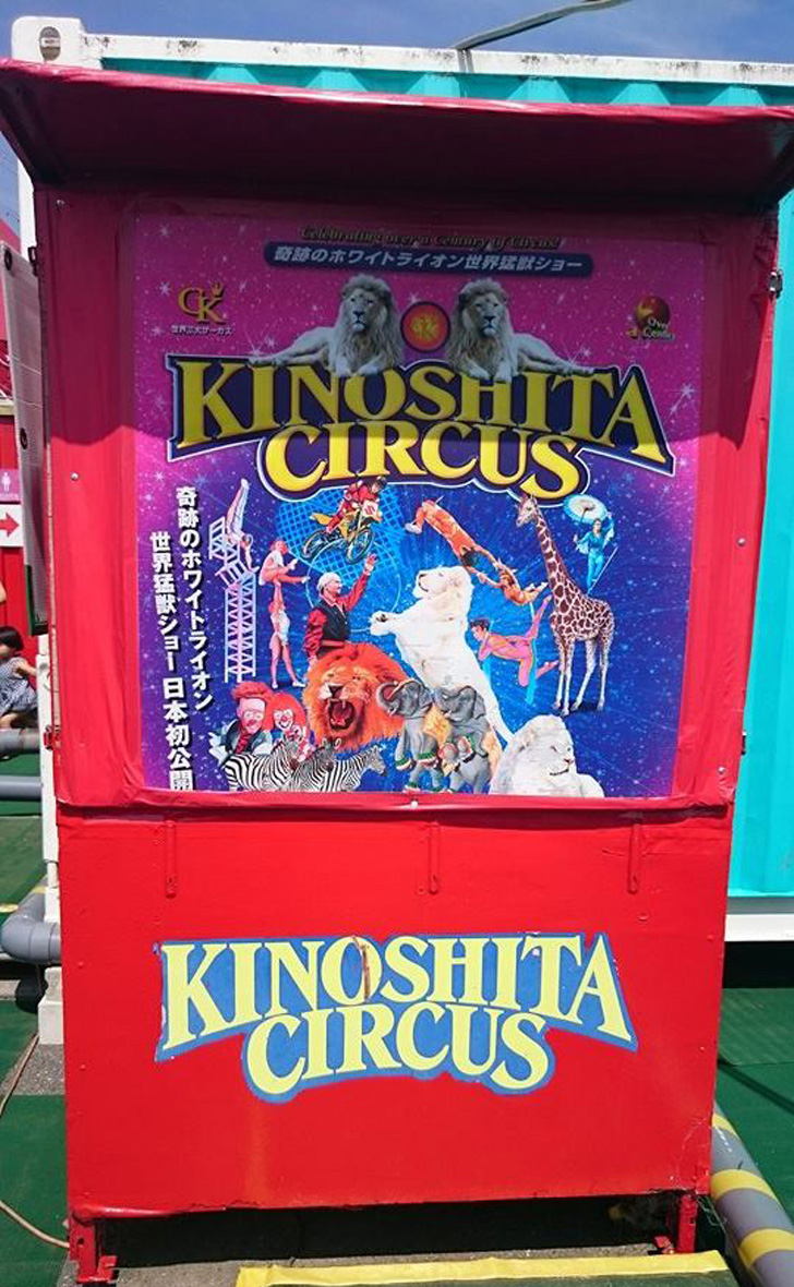 �؉��T�[�J�X